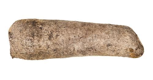 Fresh Horseradish Roots by RawJoy Farms