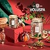 Voluspa Gilt Pomander Hinoki, Large Candle Jar, 18 oz, 100 Hour Burn Time, Coconut Wax for Clean Burning, Handcrafted in The USA