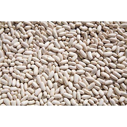 Dry Cannellini Beans 50 lbs