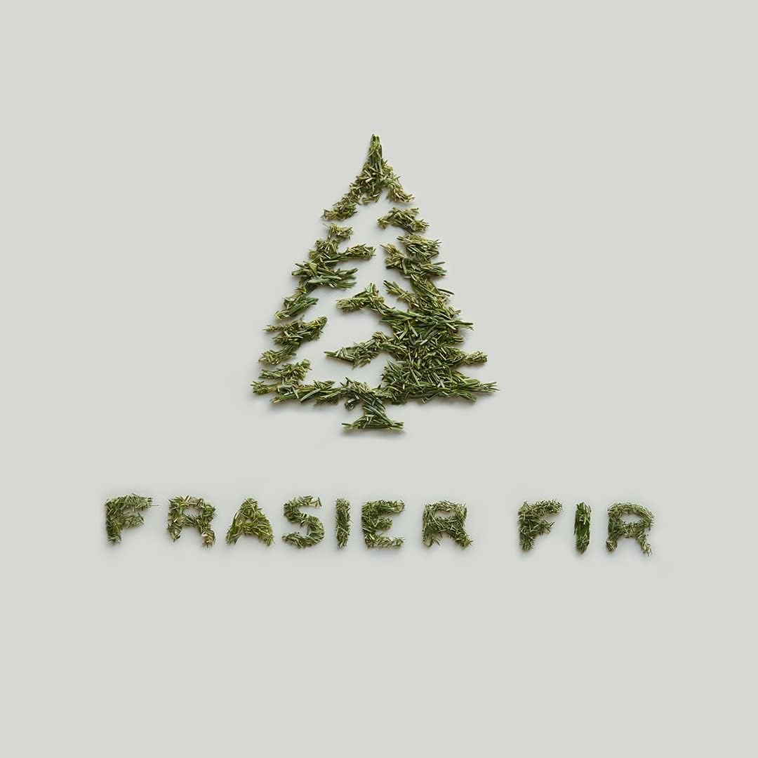 Frasier Fir Aromatic 2 Candle Set, Pine Needle Design
