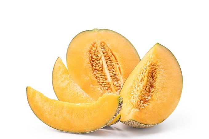 Fresh Sweet Cantaloupe Melon by RawJoy Farms