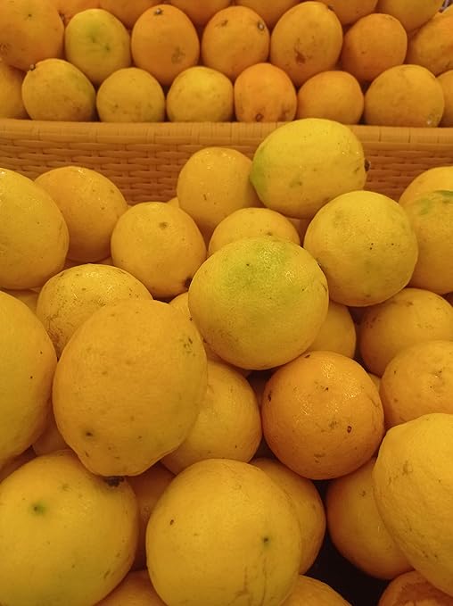 Fresh Yellow Sorrento Lemons By RawJoy Farm