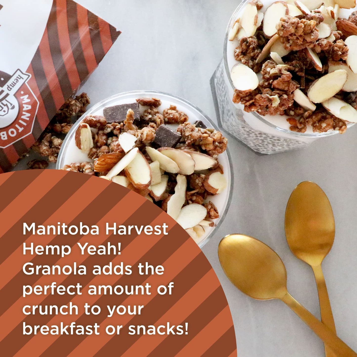 Manitoba Harvest Organic HempDk Chocolate Granola 10 oz (Case Pack of 6)