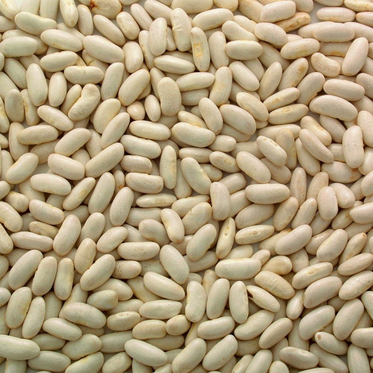 Dry Cannellini Beans 50 lbs