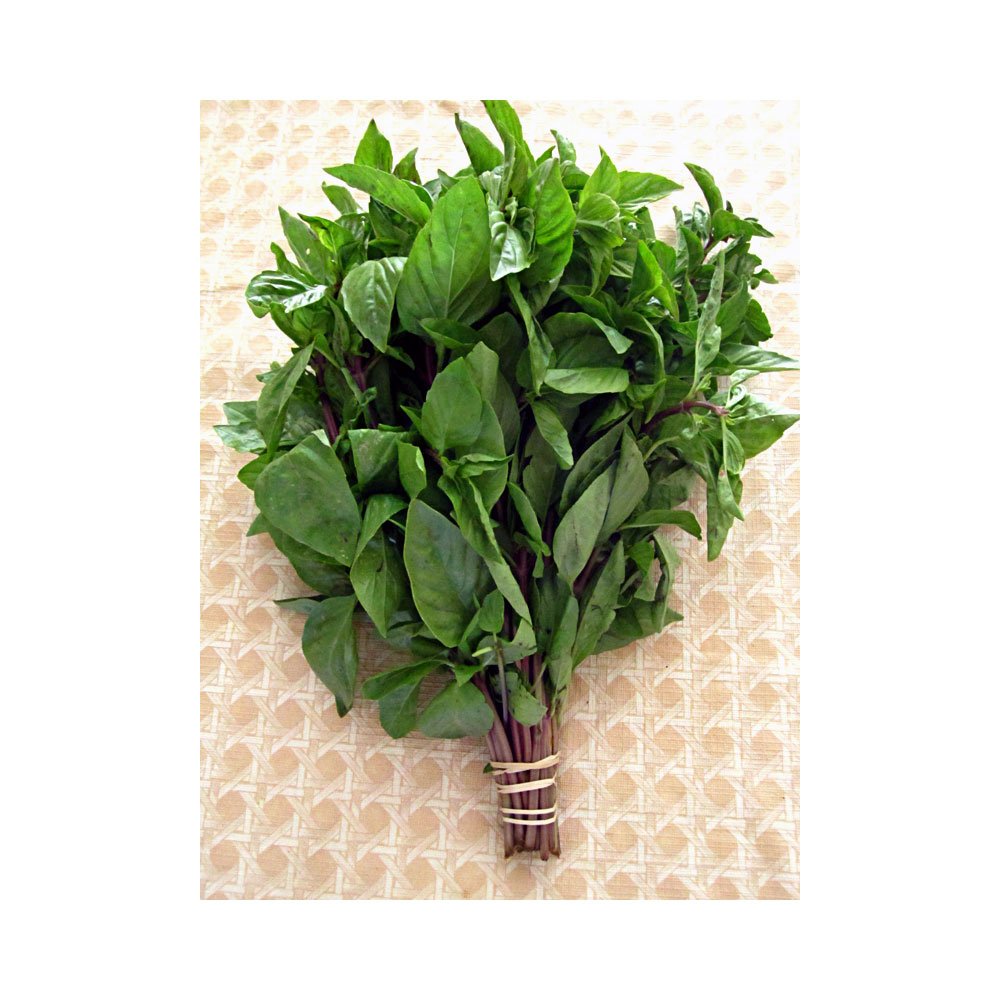 RawJoy Fresh Thai Sweet Basil, 8 oz (½ lb)