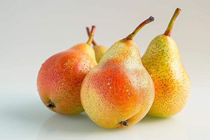 Fresh delicious Colossal Comice Pear by RawJoy Farms