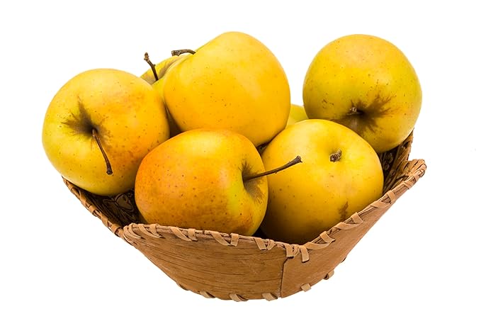 Fresh golden delicious apples by RawJoy Farms