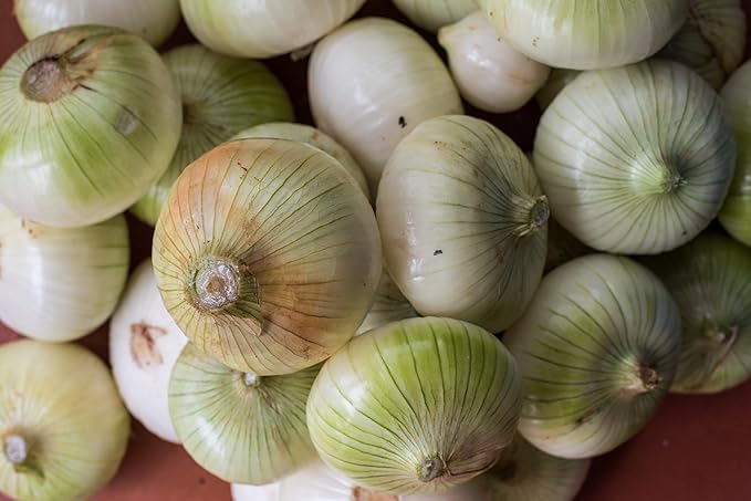 Organic Fresh Sweet Onions by RawJoy Farms