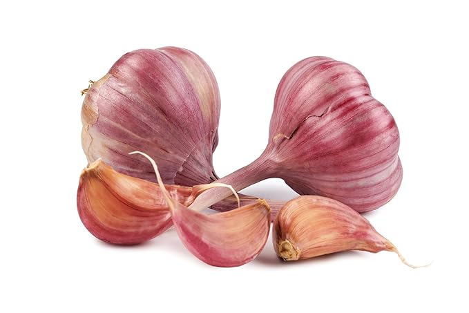 Fresh Red Garlic Bulbs by RawJoy Farms