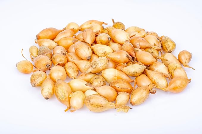 Fresh Yellow Shallots by RawJoy Farms