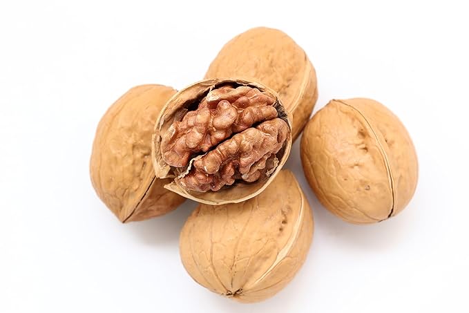 Fresh Natural Walnuts in Shell by RawJoy Farms