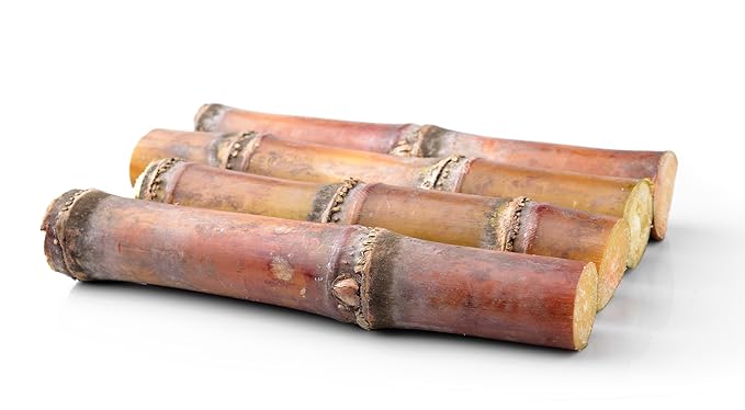 Fresh Organic Sugarcane Stalks by RawJoy Farms