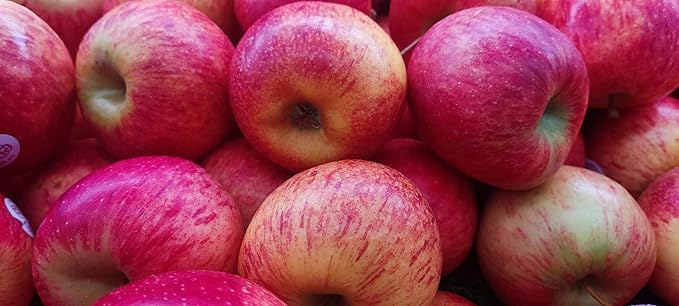 Fresh delicsious Fuji apples by RawJoy Farms