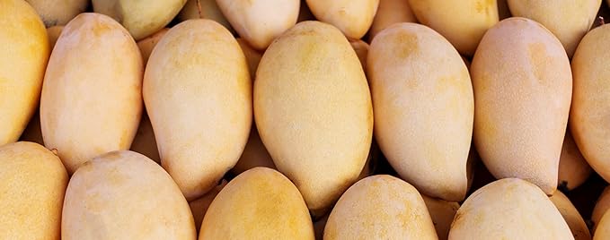 Fresh delicious Champagne Mango by RawJoy Farms