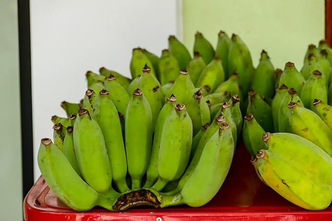Fresh Organic Green Plantain Bananas by RawJoy Farms