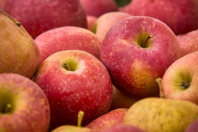 Fresh delicious Gala Apples by RawJoy Farms