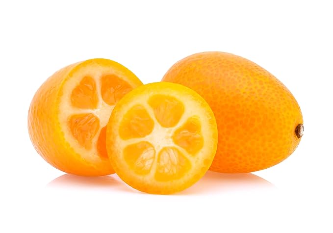 Fresh delicious Kumquat by RawJoy Farms