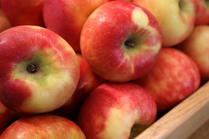 Fresh Honeycrisp delicious apples by RawJoy Farms