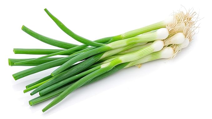 Fresh Green Onions Bunch by RawJoy Farms