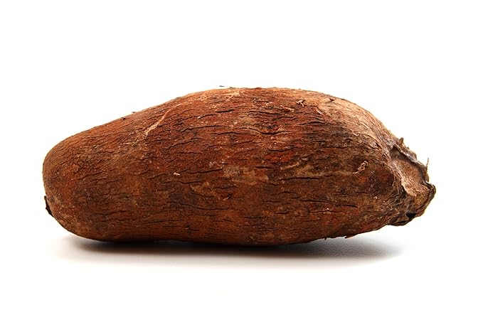 Fresh Malanga Root by RawJoy Farms