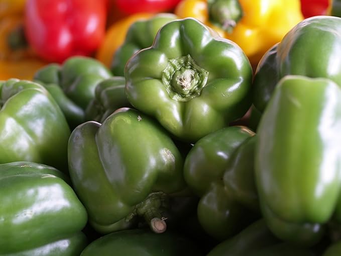 Fresh Organic Green Bell Peppers by RawJoy Farms