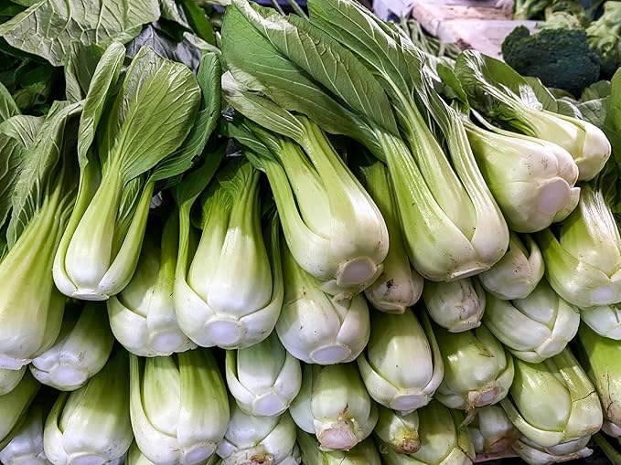 Fresh White Baby Bok Choy by RawJoy Farms