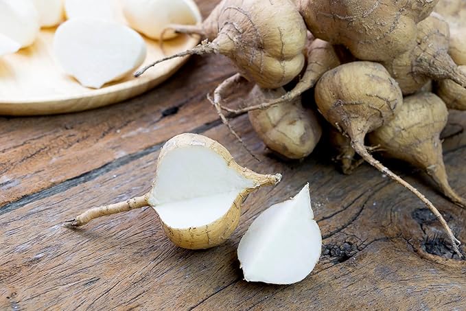 Organic Fresh Jicama by RawJoy Farms