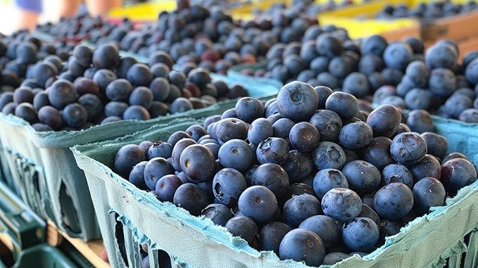 Fresh Blueberries by RawJoy Farm
