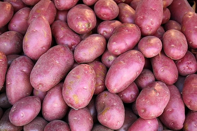 Organic Fresh Red Potatoes by RawJoy Farms