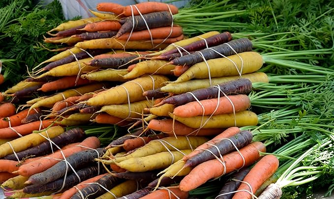 Organic Fresh Rainbow Carrots by RawJoy Farms