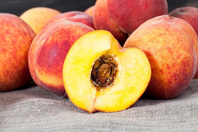 Fresh Ripe Juicy Peach by RawJoy Farms