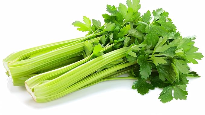 Organic Fresh Green Celery by RawJoy Farms