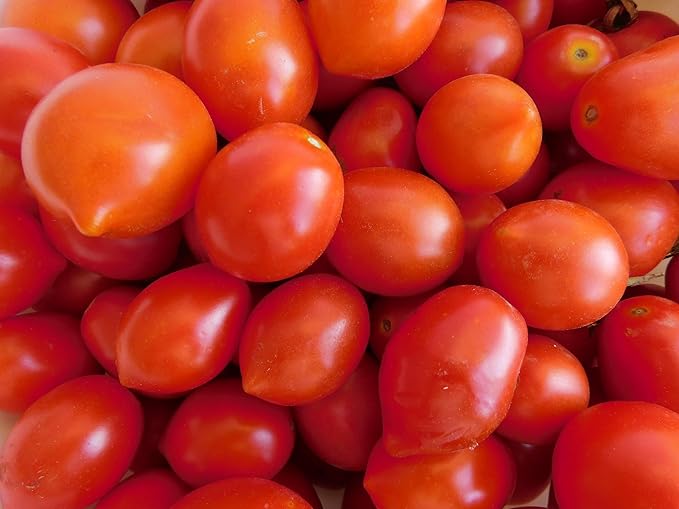Organic Fresh Roma Tomatoes by RawJoy Farms