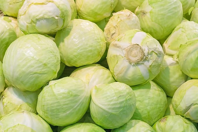 Fresh Organic Green Cabbage by RawJoy Farms
