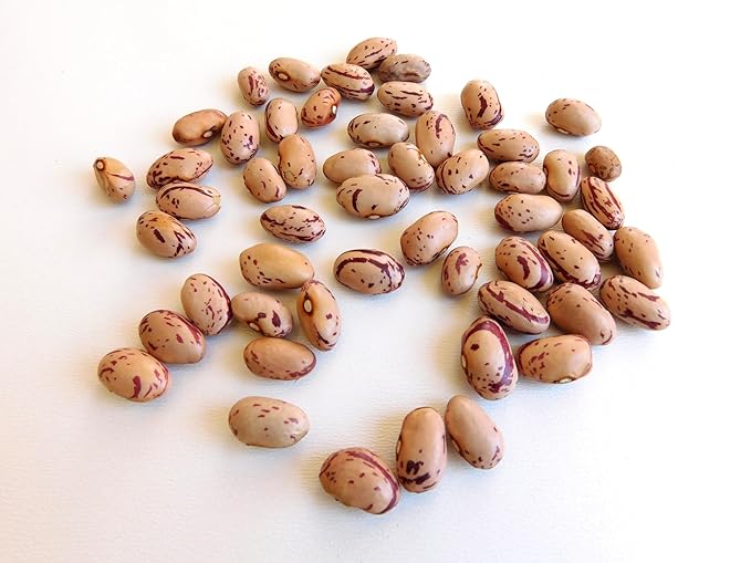 Fresh Organic Pinto Beans By RawJoy