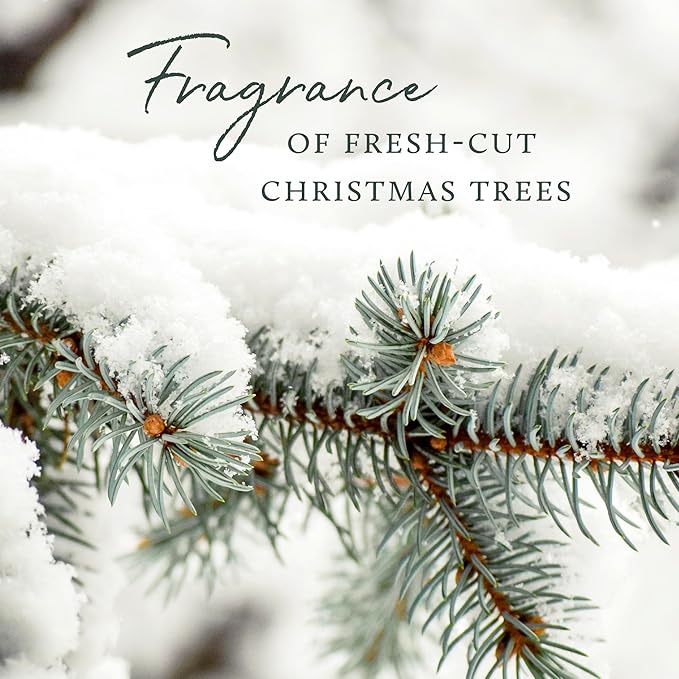 Frasier Fir Aromatic 2 Candle Set, Pine Needle Design