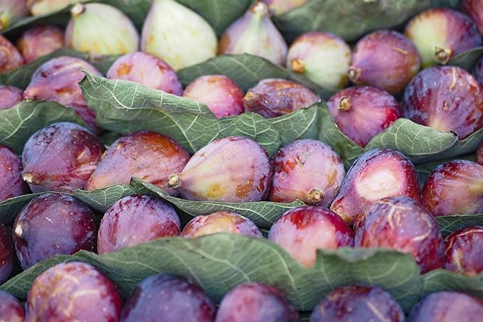 Fresh Figs by RawJoy Farms