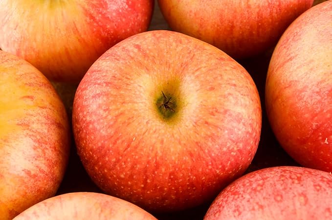Fresh delicious Macintosh apples by RawJoy Farms