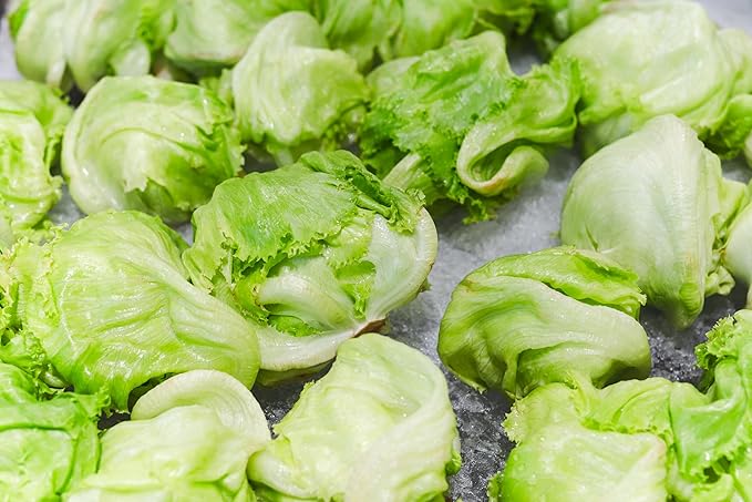 Fresh Iceberg Lettuce by RawJoy Farms