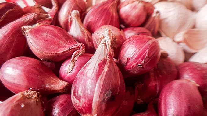 Fresh Red Shallot by RawJoy Farms