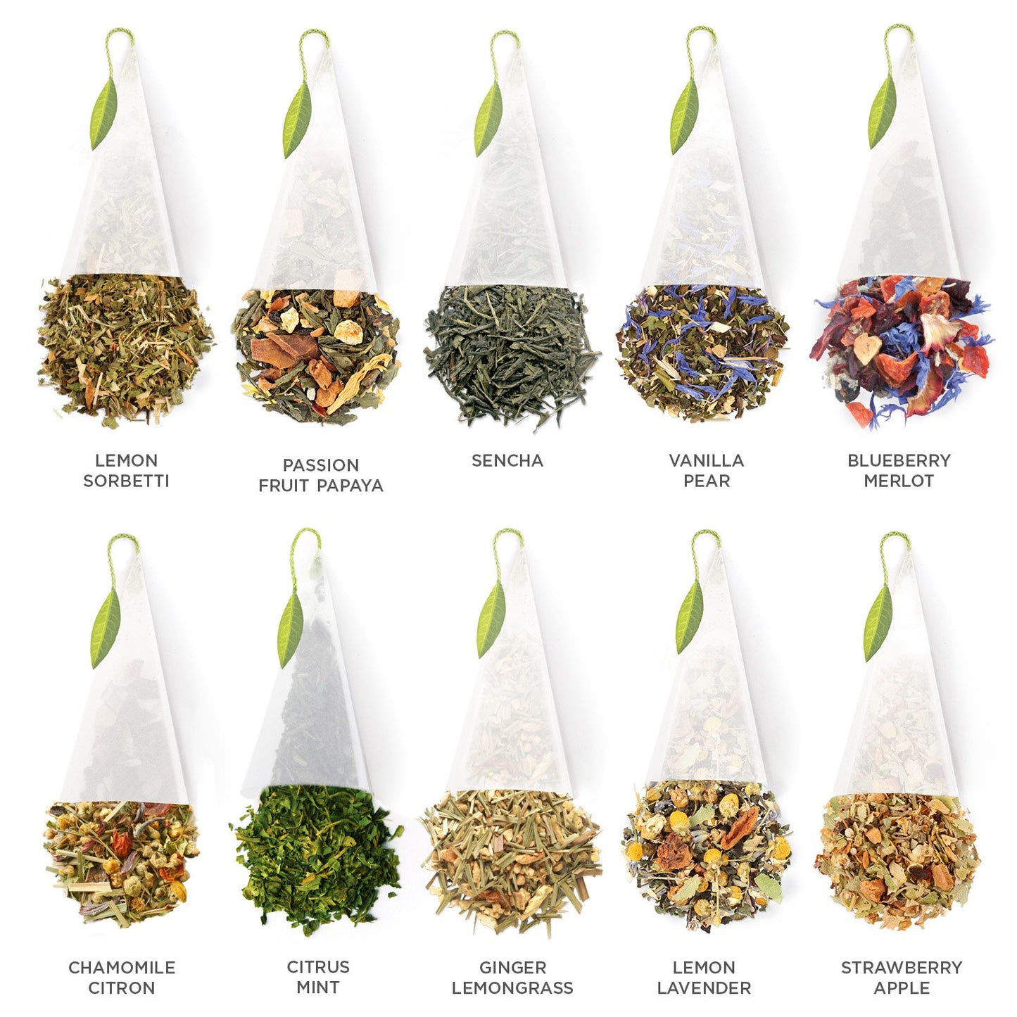Tea Forte 40 Pyramid Sampler, Tea Tasting Tea Chest