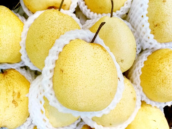 Fresh delicious Korean Pears by RawJoy Farms