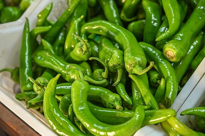 Fresh Bright Green Shishito Peppers by RawJoy Farms