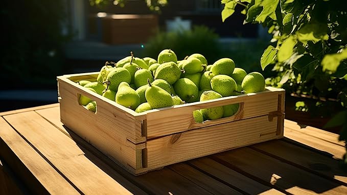 Fresh delicious D'anjou Pears by RawJoy Farms