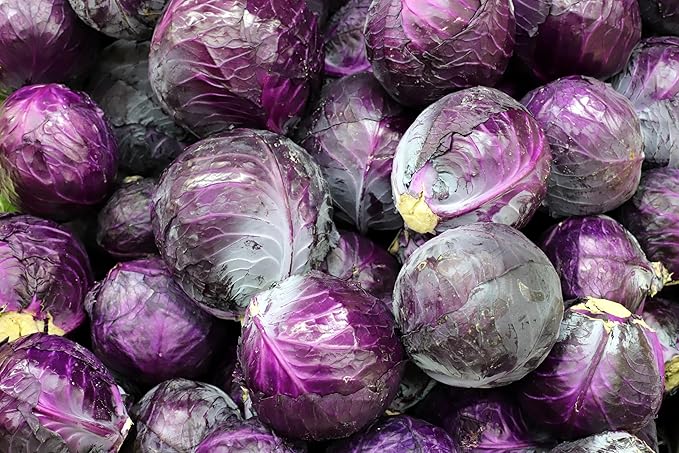 Fresh Organic Red Cabbages by RawJoy Farms