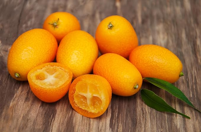 Fresh delicious Kumquat by RawJoy Farms