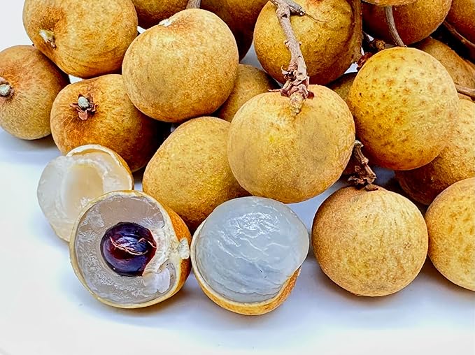 Fresh and Juicy Longon Fruit by RawJoy Farms