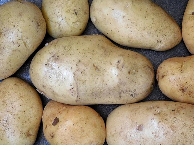 Organic Fresh Russet Potatoes by RawJoy Farms