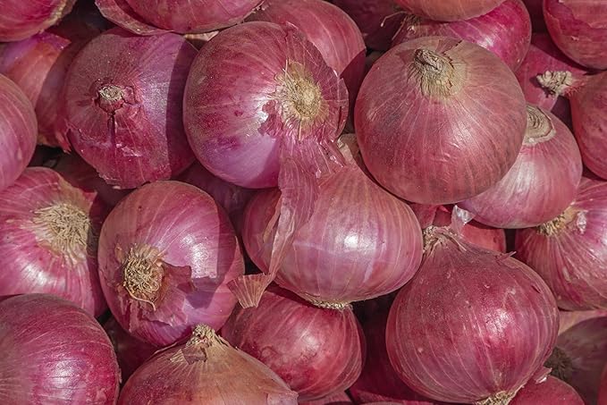 Fresh Produce Organic Red Onions by RawJoy Farms