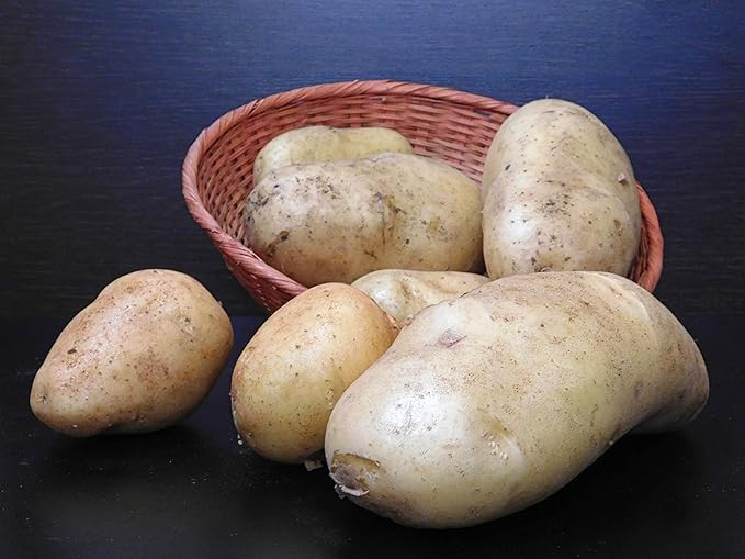 Organic Fresh Russet Potatoes by RawJoy Farms